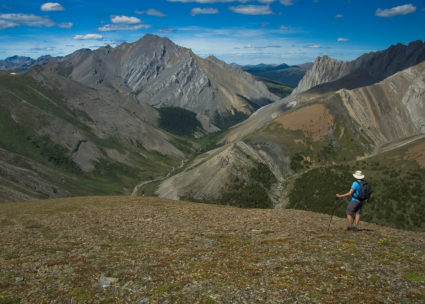 Willmore Wilderness Park, Rocky Mountains, Alberta, Canada